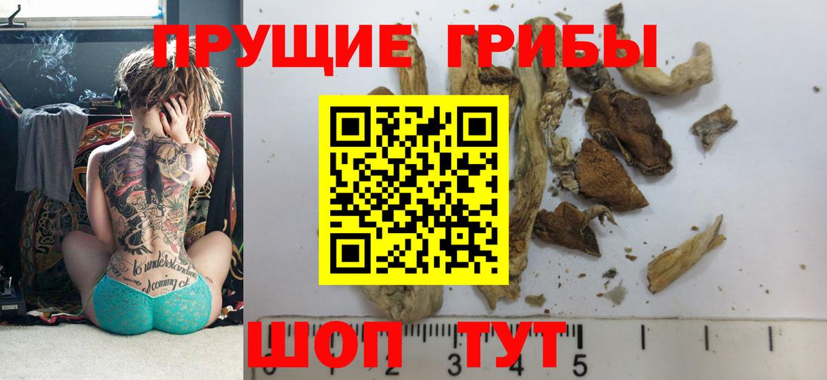 Псилоцибиновые грибы Magic Shrooms  Вход с VPN  Галлюциногенные грибы GOLDEN TEACHER  Новоалександровск 